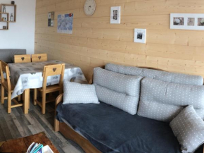 Appartement Rénové, Balcon Sud, Départ/Arrivée Skis aux Pieds, 1 Chambre, 500m des Commerces - FR-1-416-167 Fontcouverte-La Toussuire